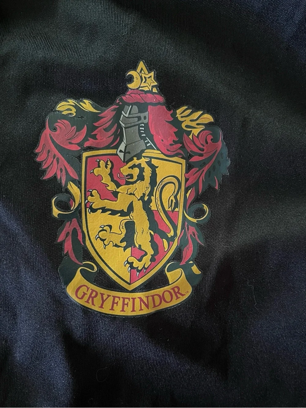 Harry Potter Kids Black Robe with Red Hood Lining and Gryffindor Crest